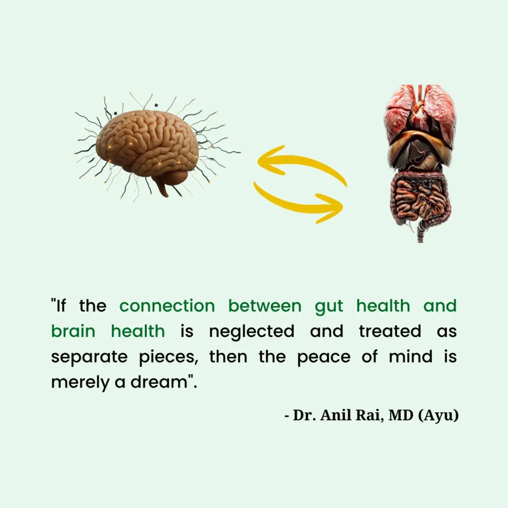Illustration of the gut-brain connection with a quote by Dr. Anil Rai, MD (Ayu) about the link between gut health and brain health for achieving peace of mind.
